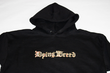 Load image into Gallery viewer, Dying Breed Striped Hoodie